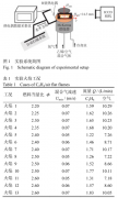 熱電偶在炭煙火焰溫度場測量方式